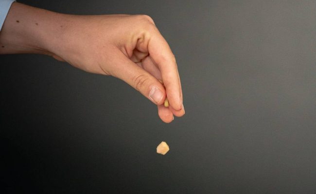 Praktijk Lien Joossens Praktijk Lien Joossens